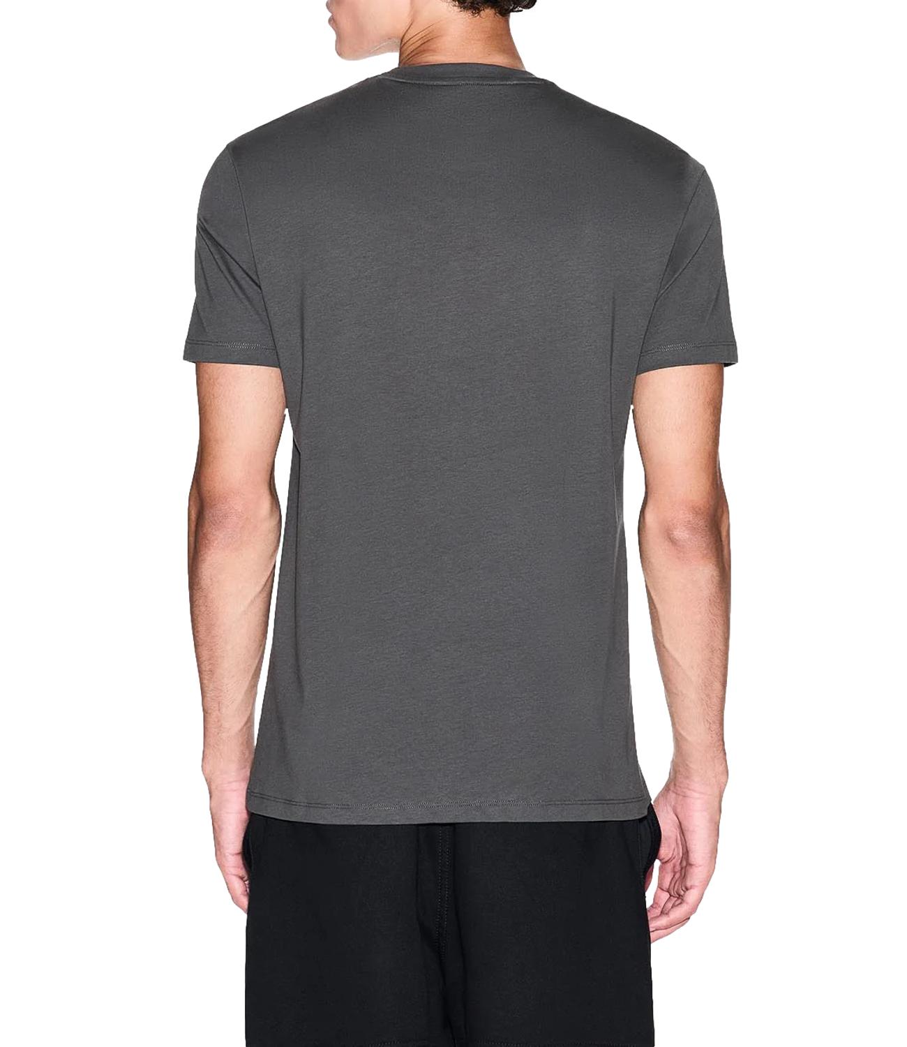 T-shirt AX verde grigia sage