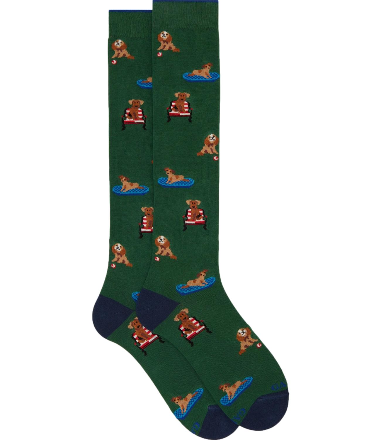 Calzini Galloverde cani reali