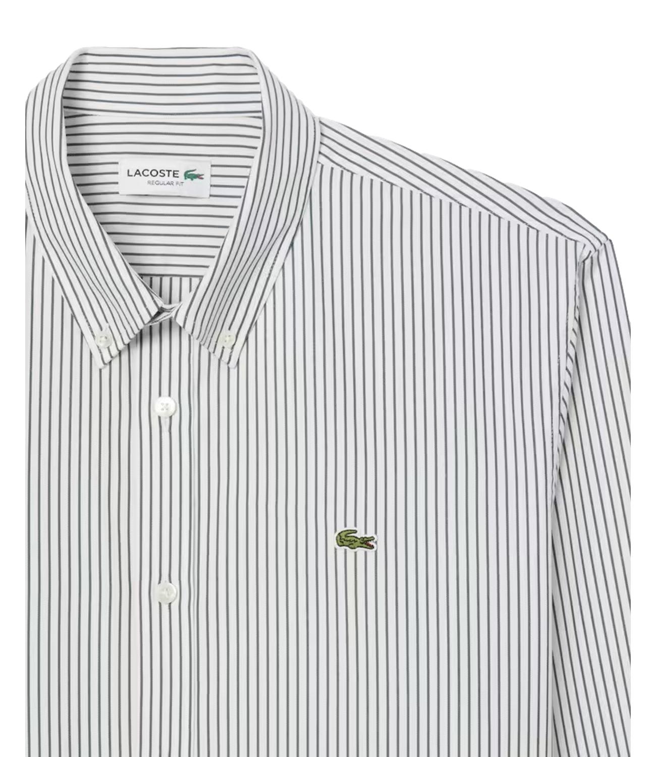 Camicia Lacoste a righe
