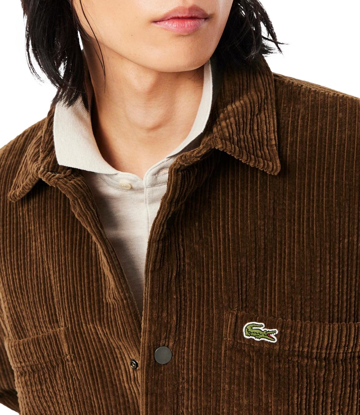 Camicia Lacoste CH8840 Uomo - Marrone
