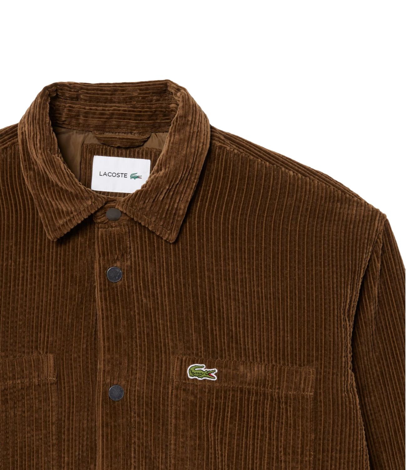 Camicia Lacoste CH8840 Uomo - Marrone