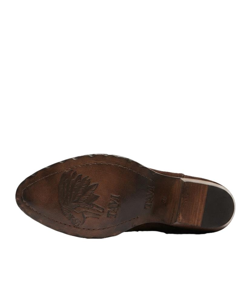 Stivali Taji AUSTIN SUEDE Donna - Marrone