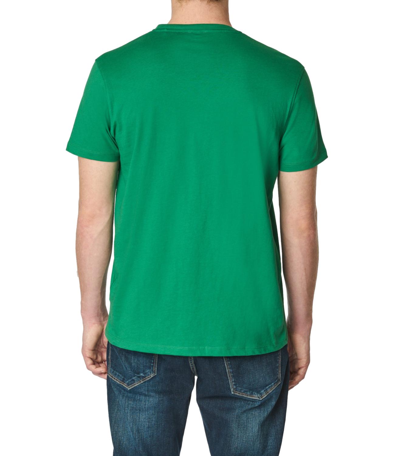 T-shirt U.S. Polo Assn girocollo verde mela
