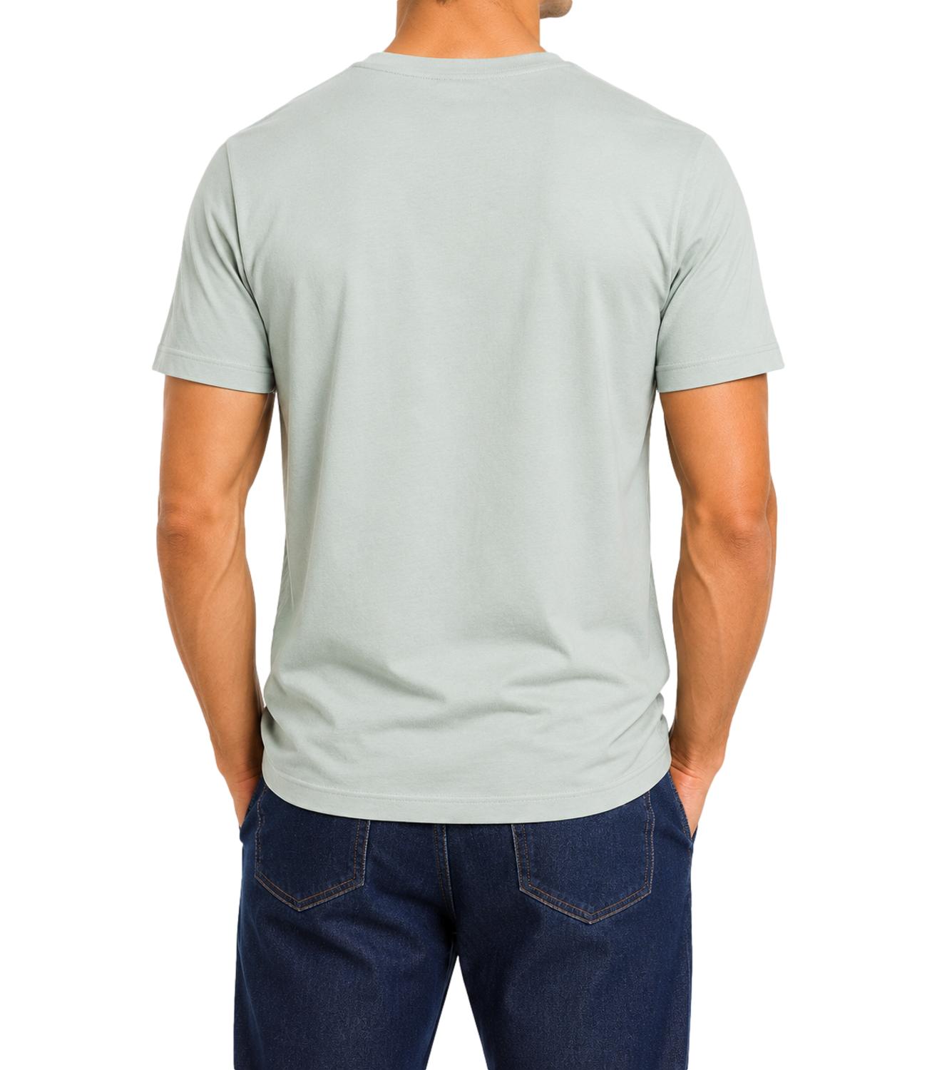 T-Shirt U.s. Polo Assn. US43154015000148 Uomo - Multicolor